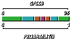 weighted distribution